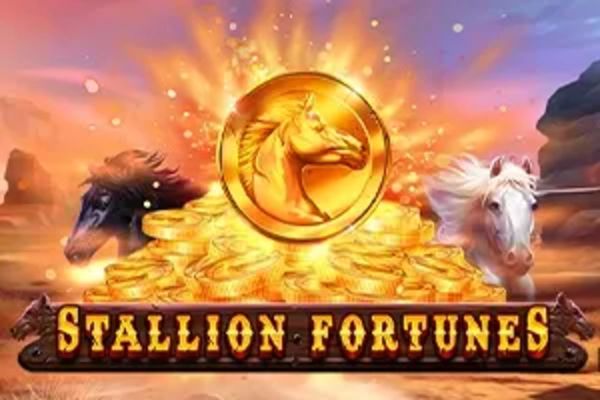 Stallion Fortunes